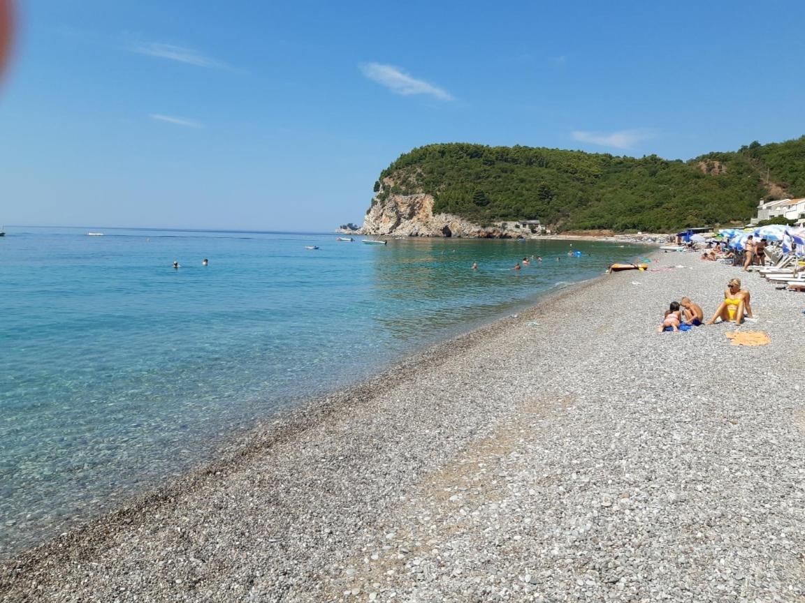 Family Apartment Garden And Sea Petrovac Dış mekan fotoğraf