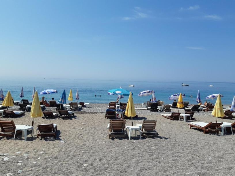 Family Apartment Garden And Sea Petrovac Dış mekan fotoğraf